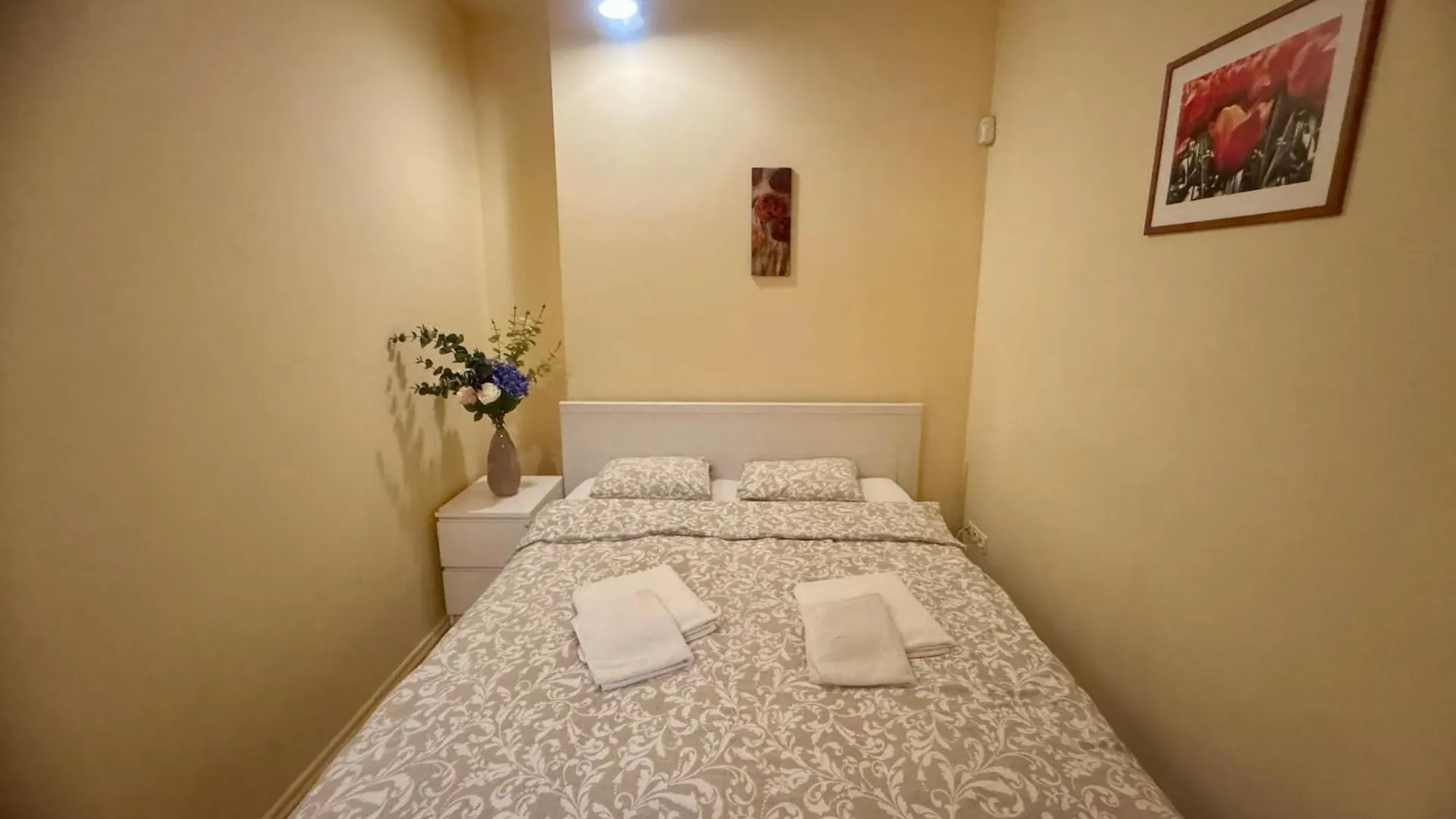 Venceslao Square Apartment Prague 0*,